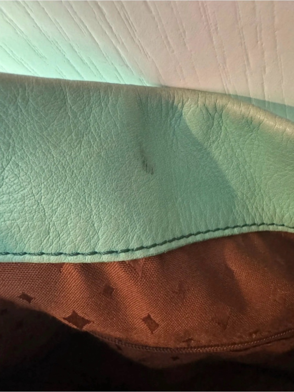 Fossil Mint Green Leather Shoulder Bag with Brown Accents - Picture 11 of 12